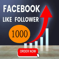Facebook Any Type Page Like + Followers  Speed 2k-5k Day  100% Non Drop