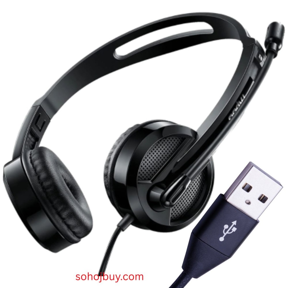Rapoo Wired Headphone With Mic H120